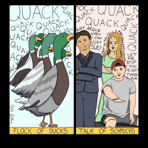 Flock of ducks and talk of schmucks.