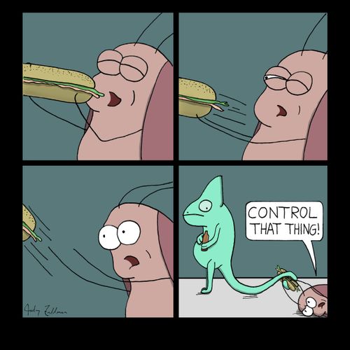 A beetle gets its' sandwich stolen by a chameleon.