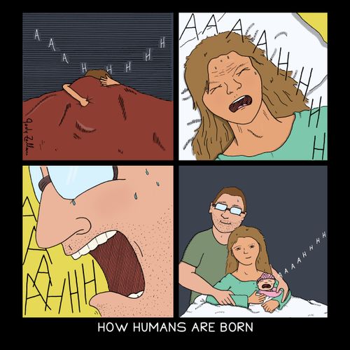 How humans are born.
