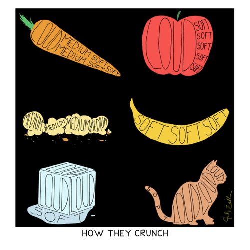 How different foods crunch.