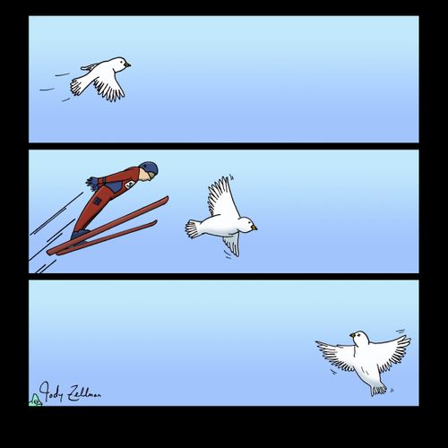 It's A Bird