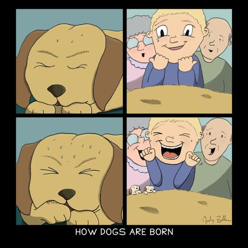 How Dogs Are Born