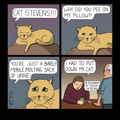 "Cat Stevens!!!"
