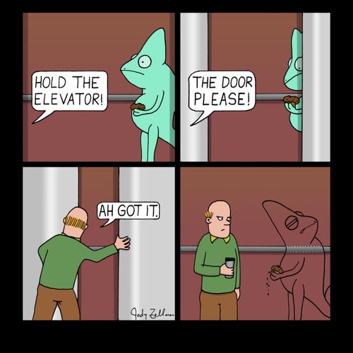 "Hold the elevator!"