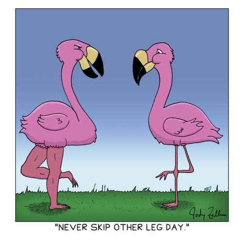"Never skip other leg day."