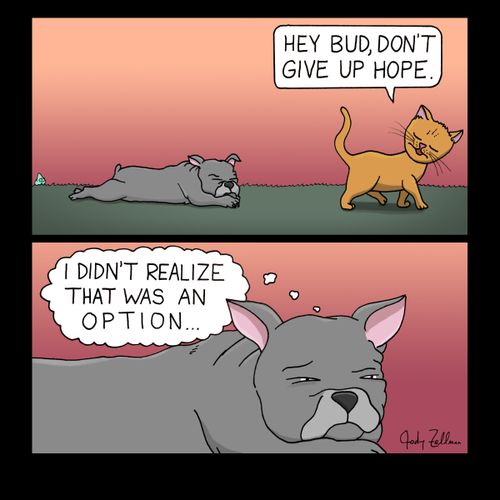 "Hey Bud, don't give up hope."