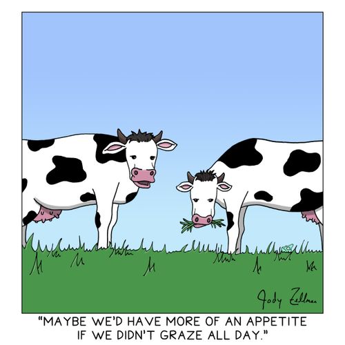 "Maybe we'd have more of an appetite if we didn't graze all day."