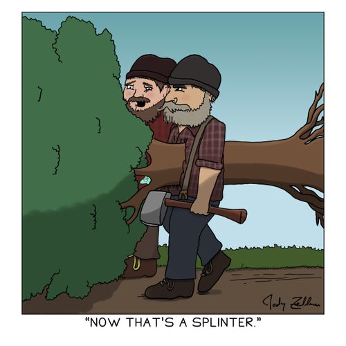 "Now that's a splinter."