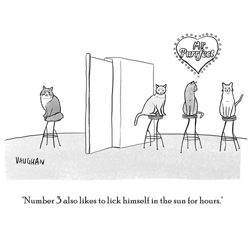 "Number 3 also likes to lick himself in the sun for hours."
