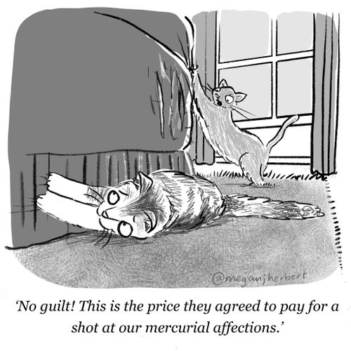 "No guilt! This is the price they areed tp pay for a shot at our mercurial affections."