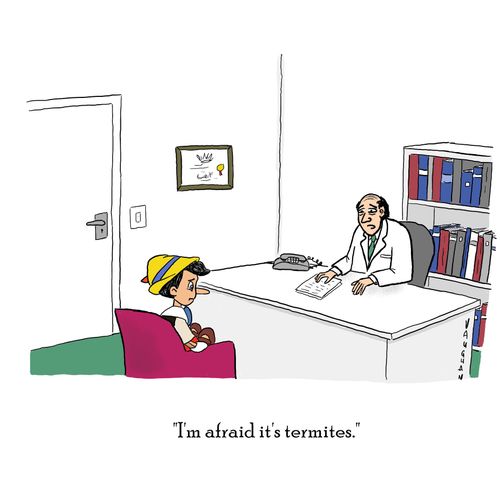 "I'm afraid it's termites."