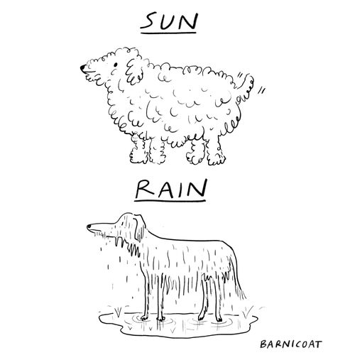 Sun. Rain.