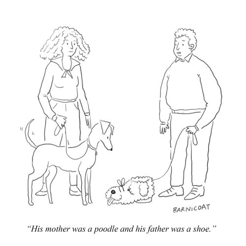  "His mother was a poodle and his father was a shoe."