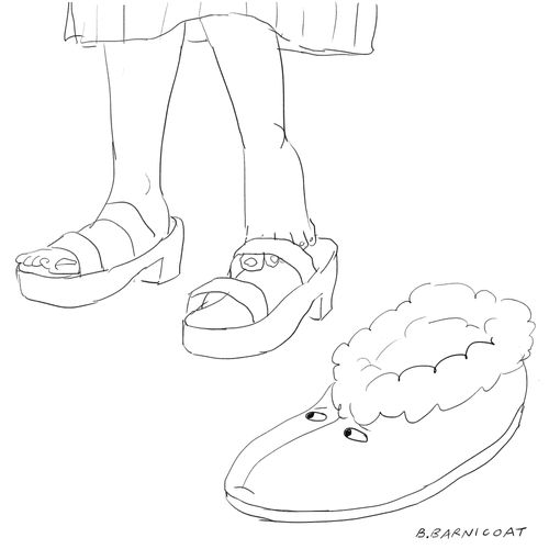 A slipper looks at a woman putting on her shoes