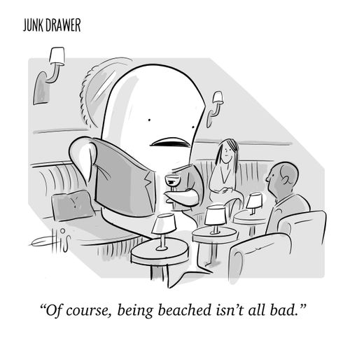 "Of course, being beached isn't all bad."