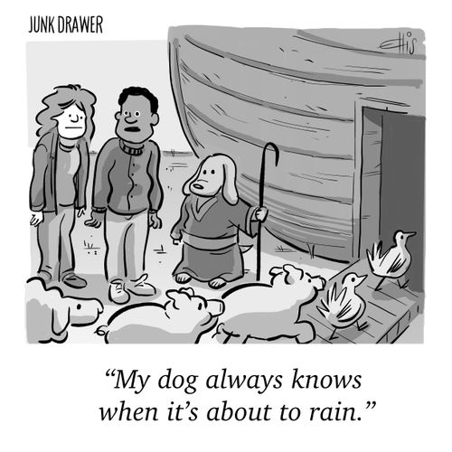 "My dog always knows when it's about to rain."