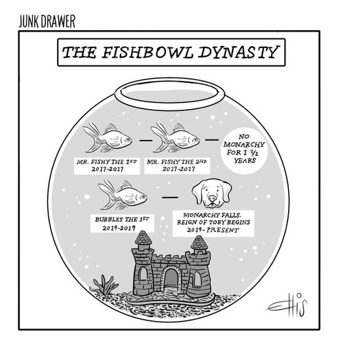 The Fishbowl Dynasty