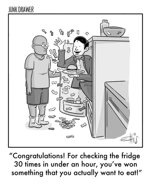  "Congratulations! For checking the fridge 30 times in under an hour, you've won something that you actually want to eat!"