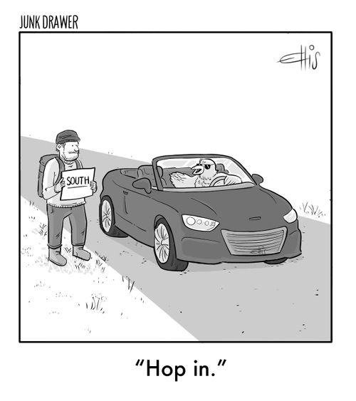 "Hop in."