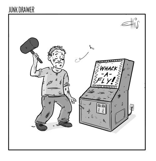 Whack-a-fly!