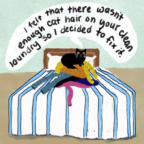 "I felt that there wasn't enough cat hair on your clean laundry so I decided to fix it."