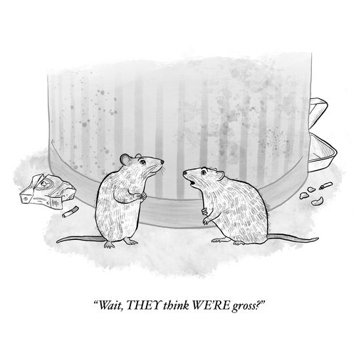 "Wait, THEY think WE'RE gross?"
