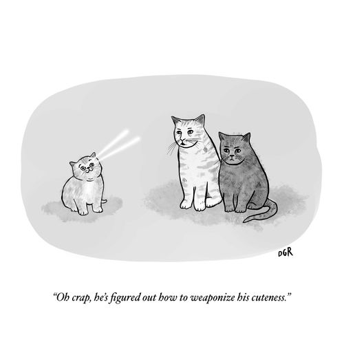 "Oh crap, he's figured out how to weaponize his cuteness."