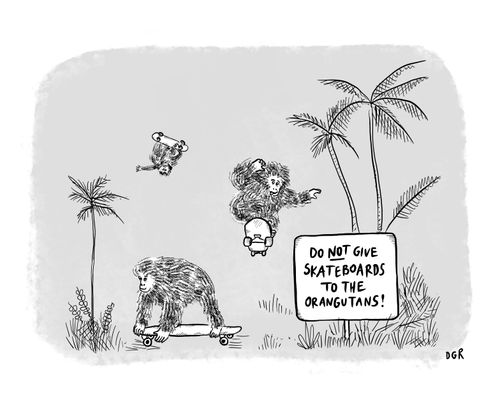 Do Not Give Skateboards To The Orangutans!