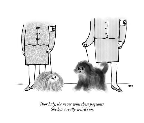 "Poor lady, she never wins these pageants. She has a really weird run."