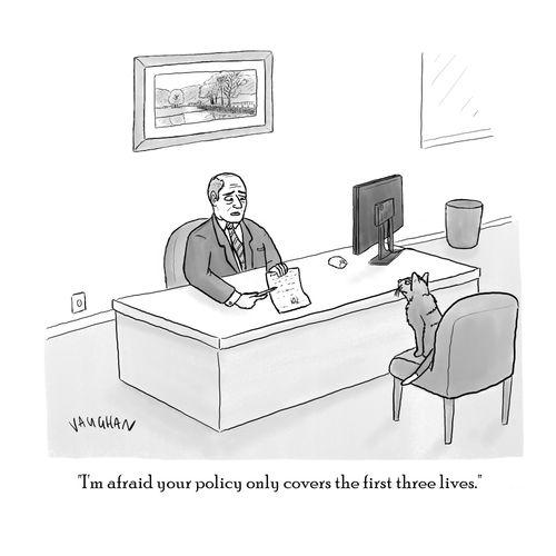 "I'm afraid your policy only covers the first three lives."