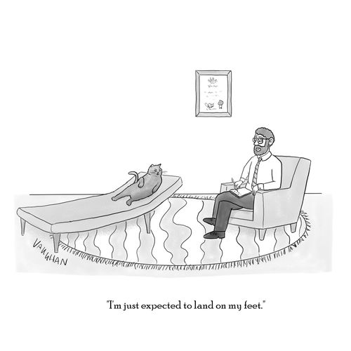 "I'm just expected to land on my feet."