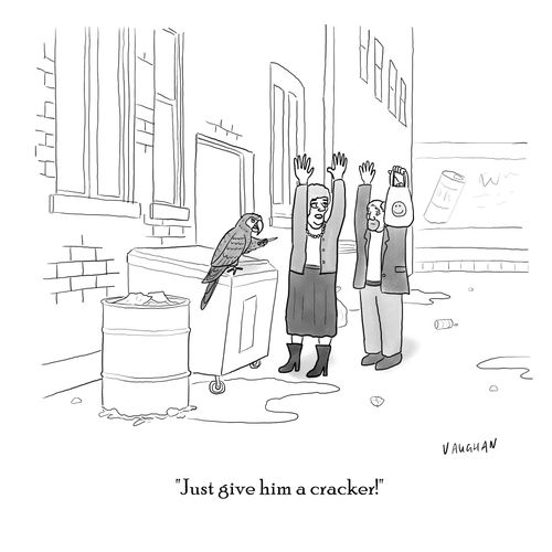 "Just give him a cracker!"