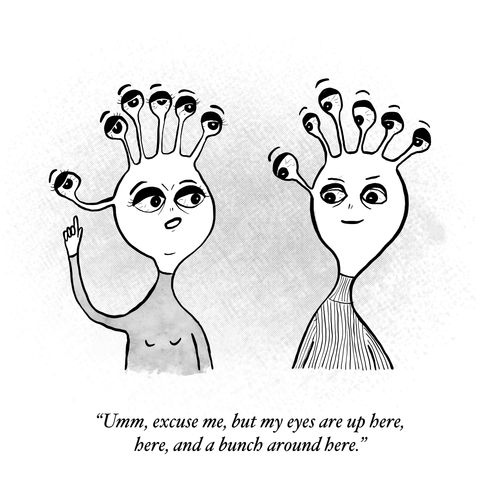 "Umm, excuse me, but my eyes are up here, here, and a bunch around here."