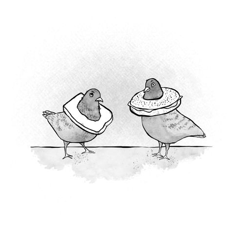 Pigeon Fashion
