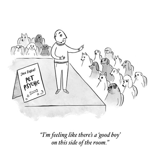 "I'm feeling like there's a 'good boy' on this side of the room."