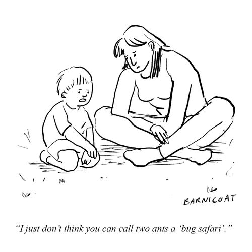 "I don't think you can call two ants a 'bug safari'."