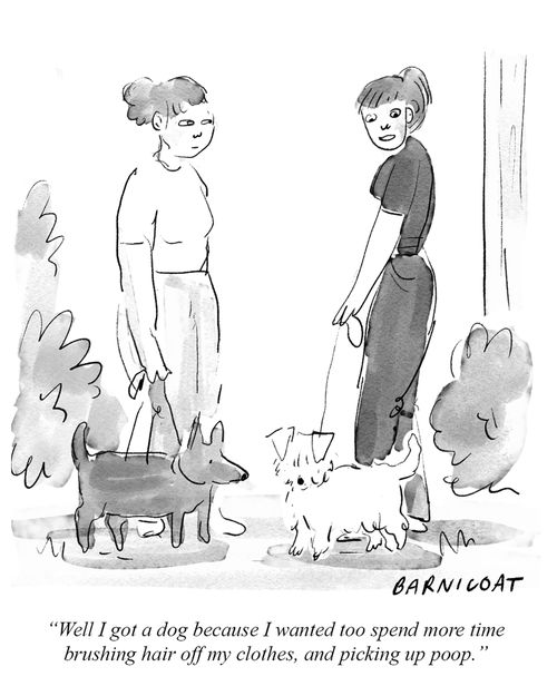 "Well I got a dog because I wanted to spend more time brushing hair off my clothes, and picking up poop."