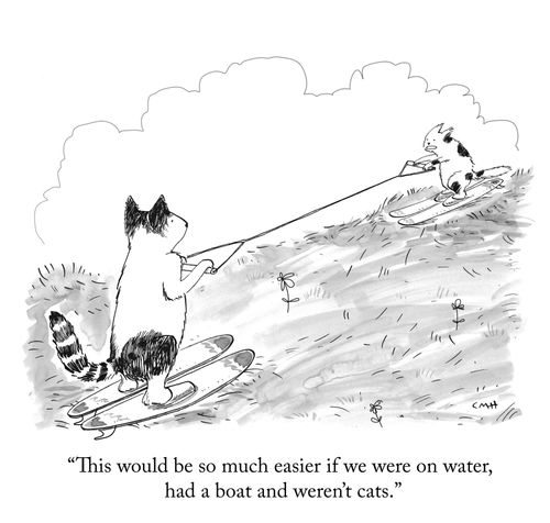 "This would be so much easier if we were on water, had a boat, and weren't cats."