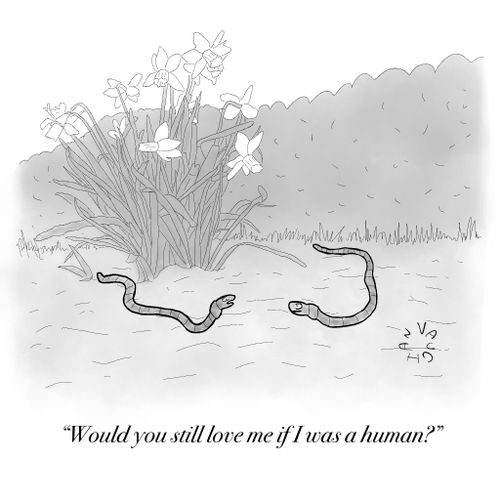 "Would you still love me if I was a human?"
