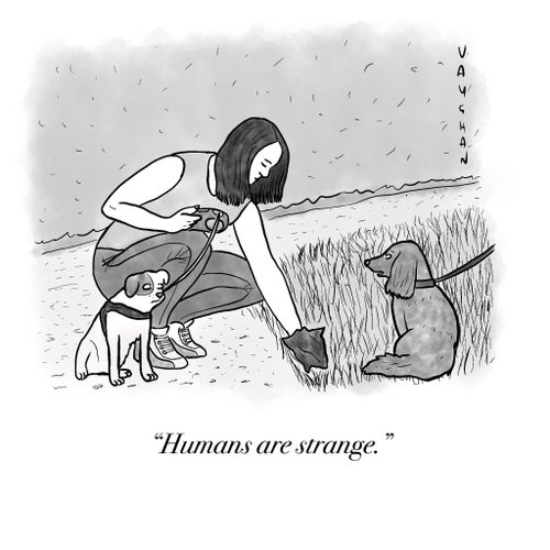 "Humans are strange."