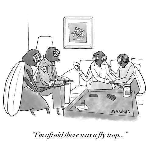 "I'm afraid there was a fly trap..."