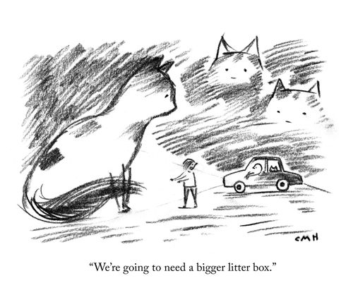 "We're going to need a bigger litter box."