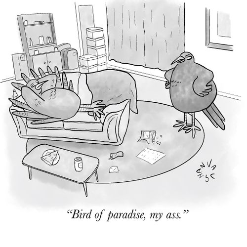 "Bird of paradise, my ass."