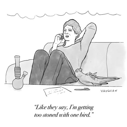 "Like they say, I'm getting too stoned with one bird."