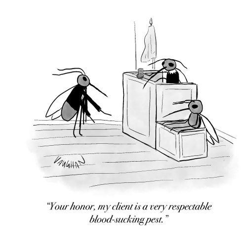 "Your honor, my client is a very respectable blood-sucking pest."