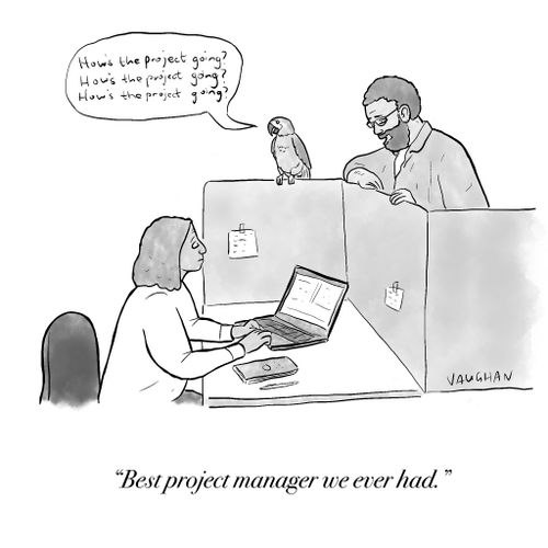 "Best project manager we ever had."