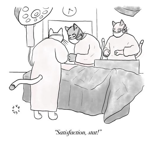 "Satisfaction, stat!"