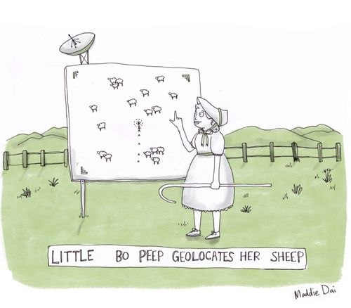 Little Bo Peet Geolocates her Sheep