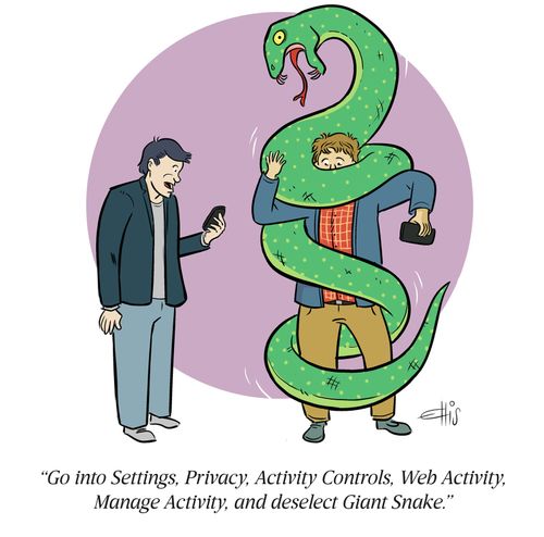 "Go into Settings, Privacy, Activity Controls, Web Activity, Manage Activity, and deselect Giant Snake."