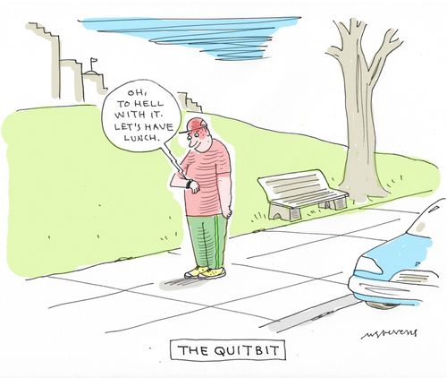 The Quitbit